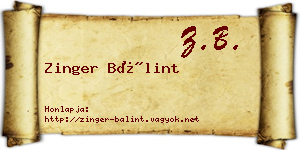 Zinger Bálint névjegykártya
